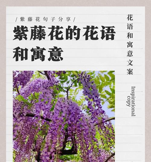 象征着思念与爱意的花是什么？哪种花最能表达深情？