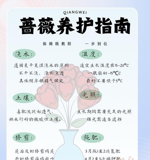 蔷薇花的花语是什么？如何用蔷薇花表达爱意？