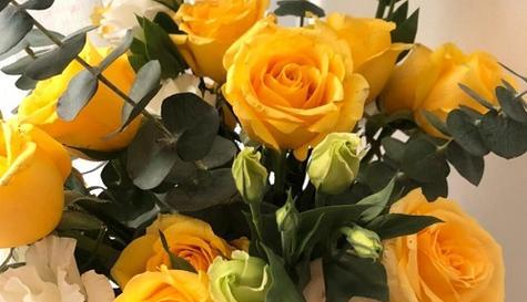 绝色双娇花语是什么？如何解读这种花的象征意义？
