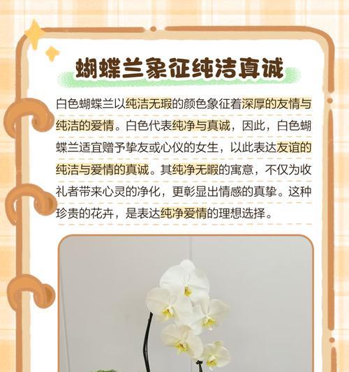 蝴蝶兰和紫荆花的寓意是什么？如何正确解读它们的象征意义？