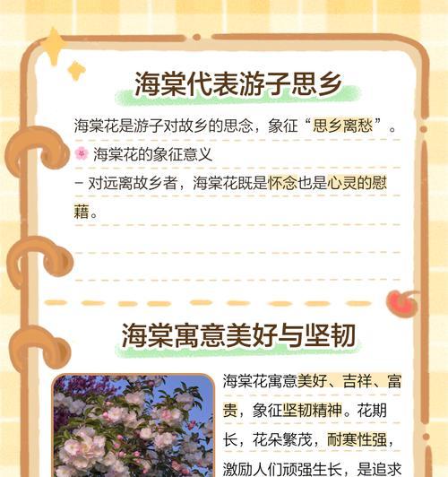 各个花的花语象征意义是什么？如何正确解读花卉的语言？