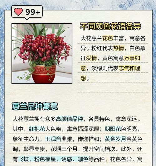 各个花的花语象征意义是什么？如何正确解读花卉的语言？