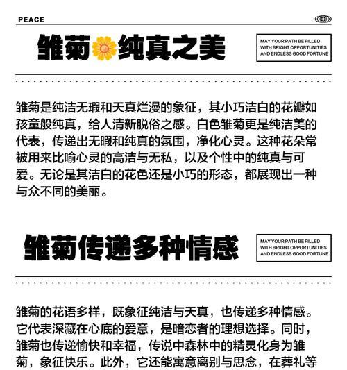 白色雏菊花语是什么？送花时需要注意什么？