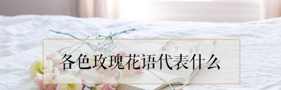 兰亭翡翠的花语是什么？如何解读其象征意义？