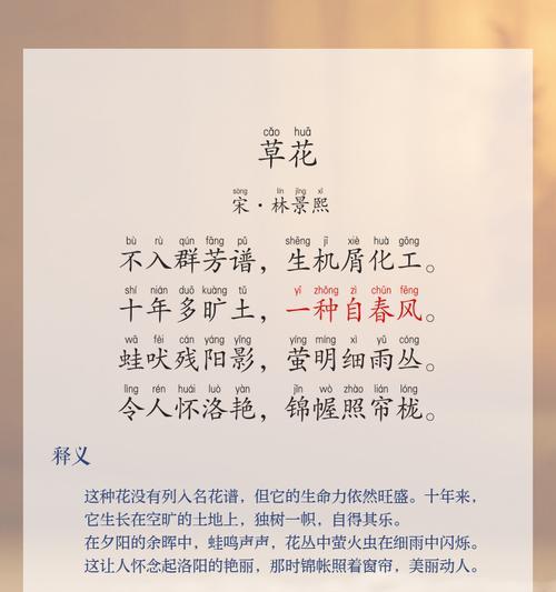 山草花的寓意是什么？如何理解山草花的象征意义？