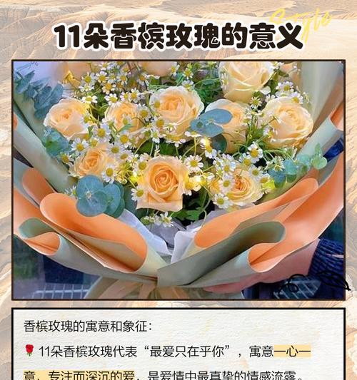 每束花的花语含义是什么？如何根据场合选择合适的花束？