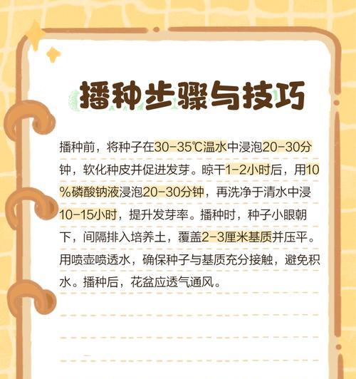 君子兰三棵组合的种植方法是什么？