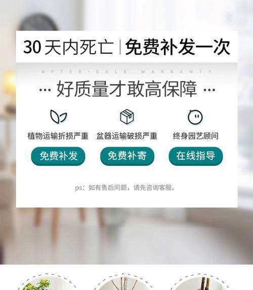 水培木本植物长根了怎么办？需要采取哪些措施？