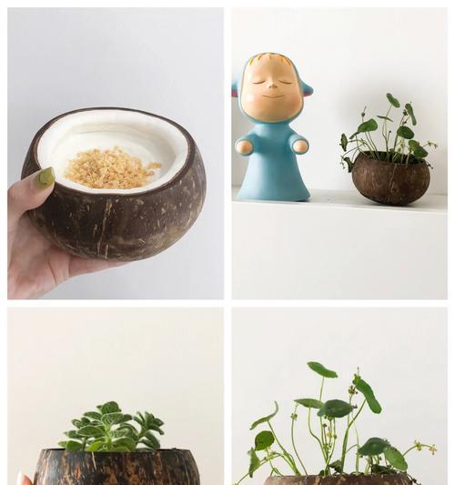 盆景胶的正确使用方法是什么？