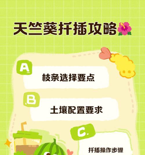 天竺葵压茬种植方法是什么？