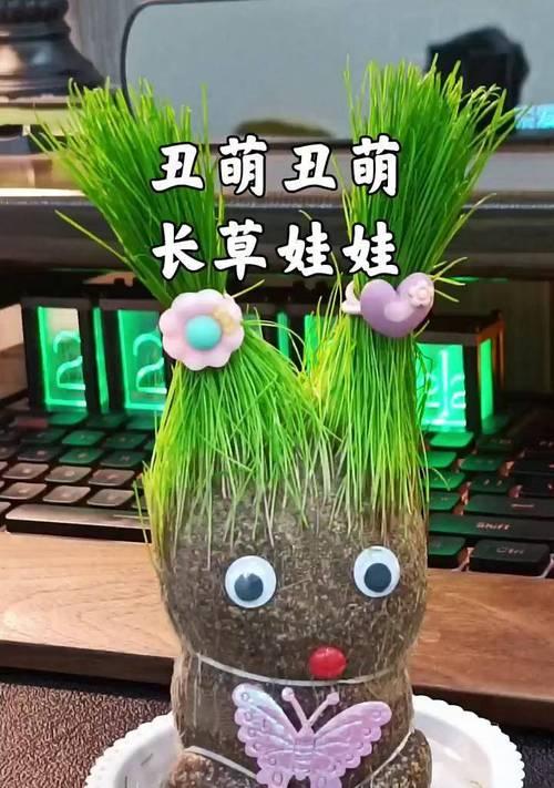 浇水长草的正确方法是什么？如何正确进行浇水操作？