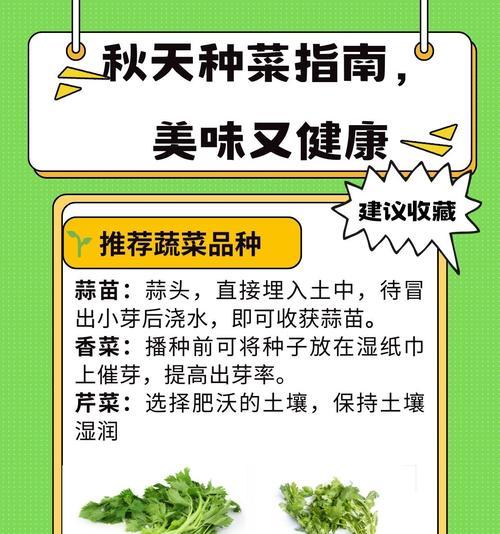浙江秋季蔬菜播种的最佳时间是什么时候？