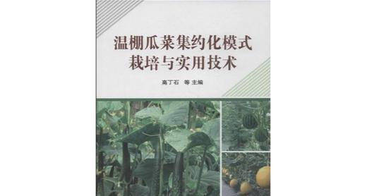 枯瓜栽培的技术要点有哪些？