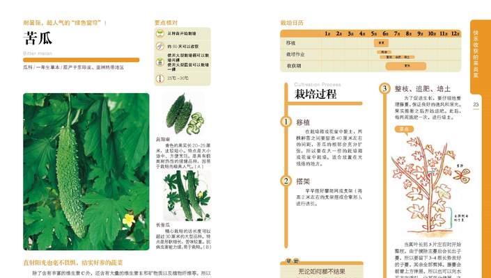 枯瓜栽培的技术要点有哪些？