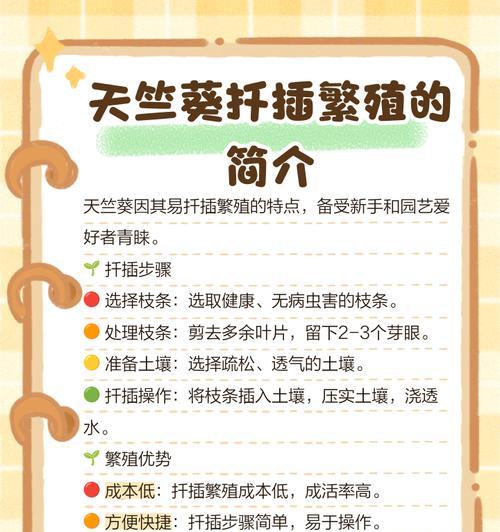 进口种子天竺葵的种植方法是什么？