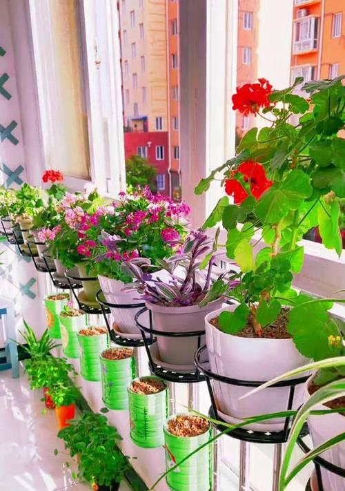 在阳台挂的花叫什么？阳台悬挂植物有哪些推荐？