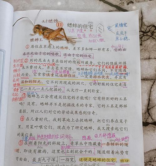 蟋蟀栽培需要哪些技术要点？