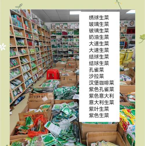 菜种子播种指南：哪些种子最适合播种？
