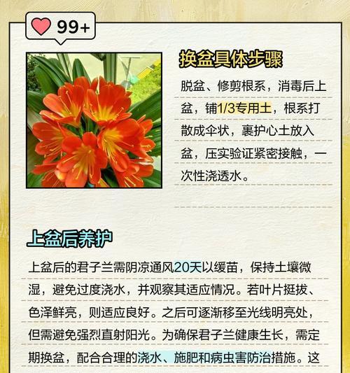 老君子兰修剪叶子的最佳时机和方法是什么？