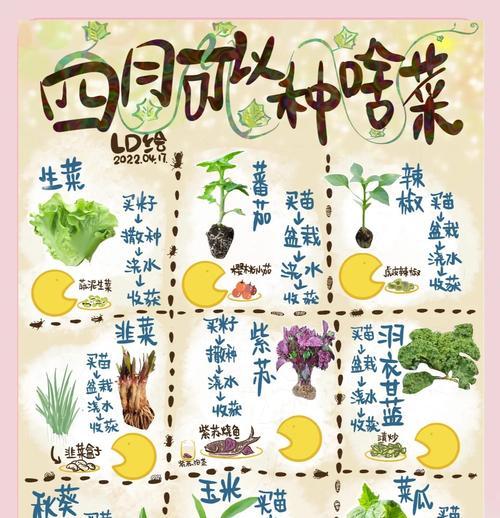 五月份阳台适合种植哪些花卉？阳台花卉种植指南是什么？
