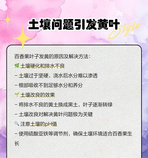 菩提叶子果实蔫发黄的处理方法是什么？