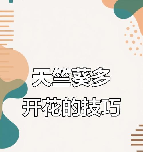 天竺葵如何开大朵花？有哪些技巧？