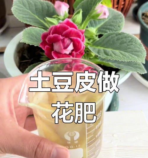 土豆的正确施肥和浇水方法是什么？