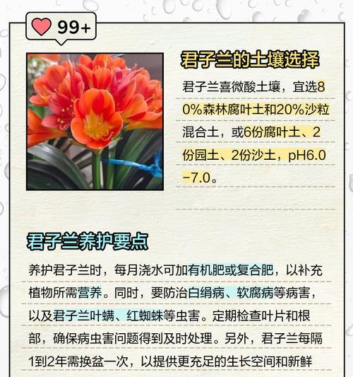 君子兰控根是怎么回事？控根对君子兰生长有何影响？