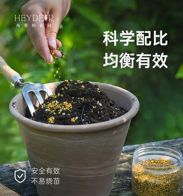 蔬菜叶子发黄的拯救方法有哪些？
