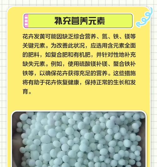 蔬菜叶子发黄的拯救方法有哪些？
