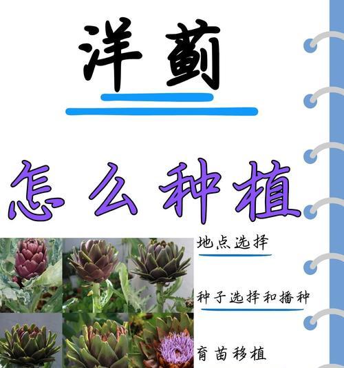 育苗播种时选择哪种土壤最适宜？