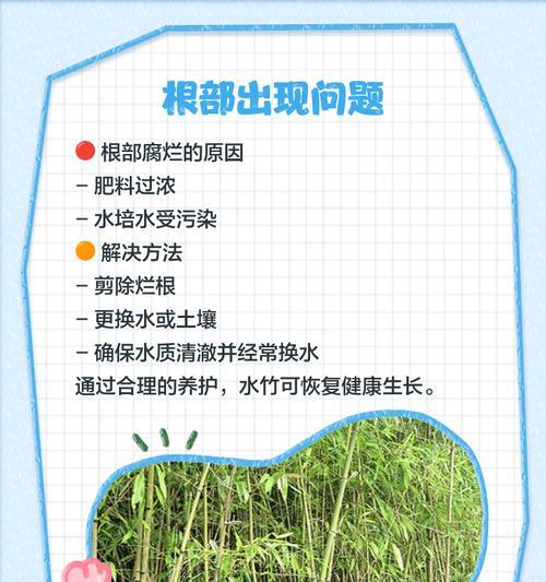 红竹叶子发黄的可能原因是什么？
