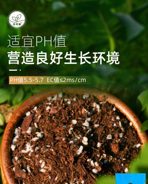 阳台花卉种植适用的花土类型是什么？