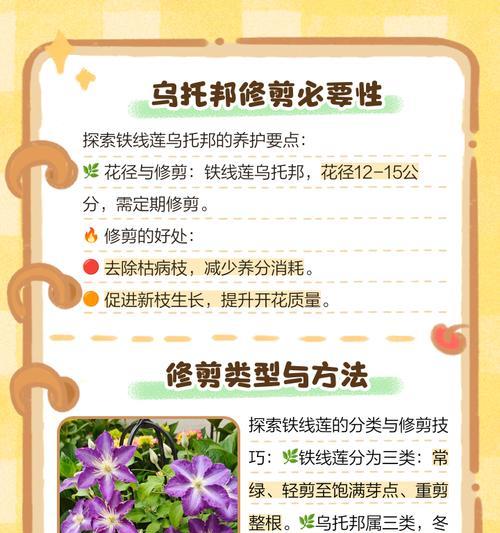 铁线莲中苗的正确养护方法是什么？