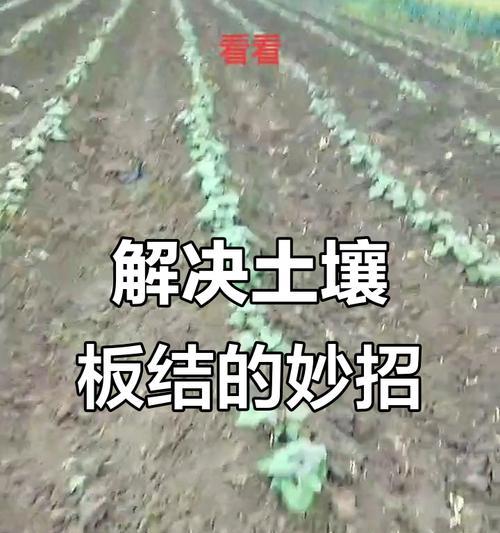 自制农场土壤肥料的方法是什么？