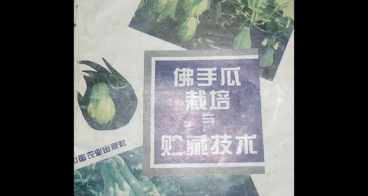 头角栽培技术的种类有哪些？