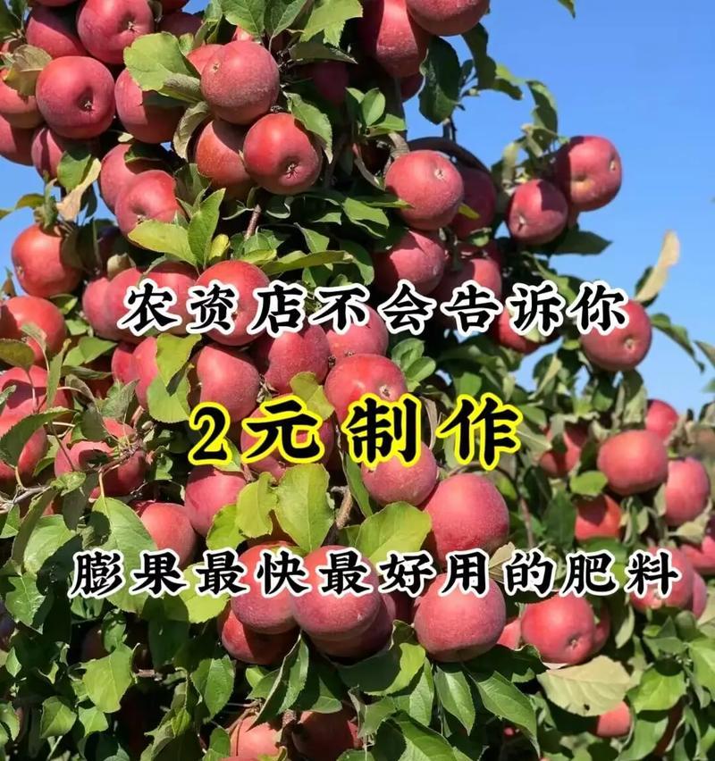 自制果棒肥料的方法有哪些？