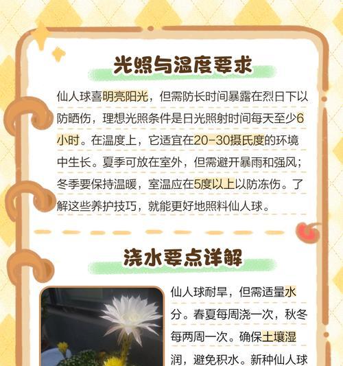 仙人球冬季如何正确浇水？有哪些注意事项？