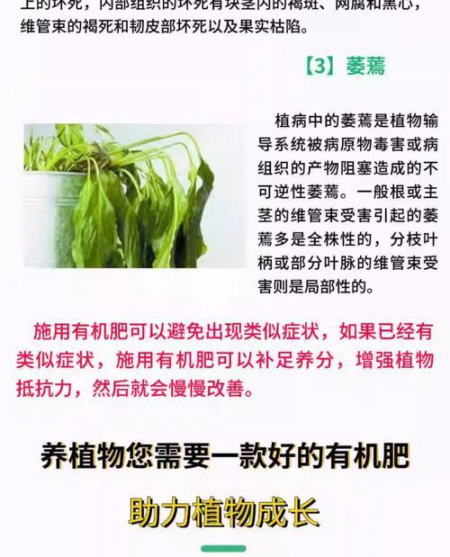 自制生物酶肥料的方法是什么？