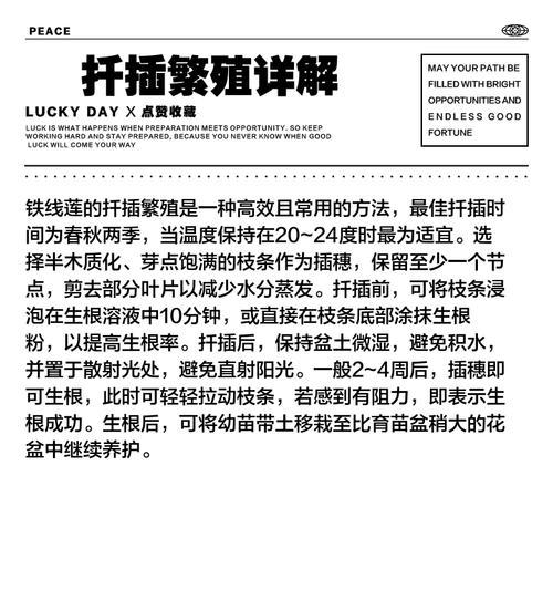 许愿星铁线莲扦插方法是什么？