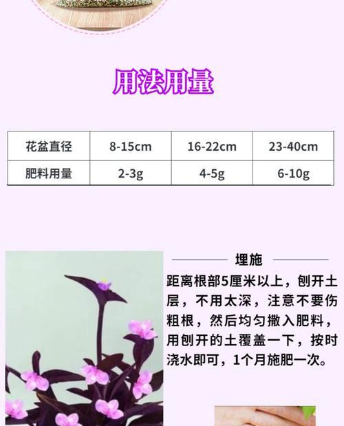 自制盆景长效肥料的方法有哪些？