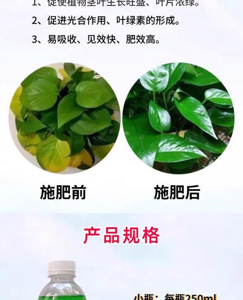 自制盆景长效肥料的方法有哪些？