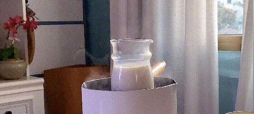 猪皮播种的最佳时间是什么时候？