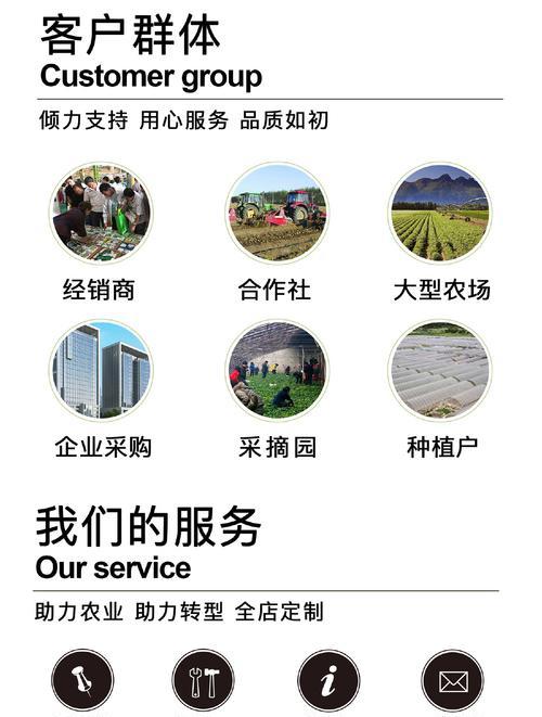 中科种子播种的最佳时间是什么时候？