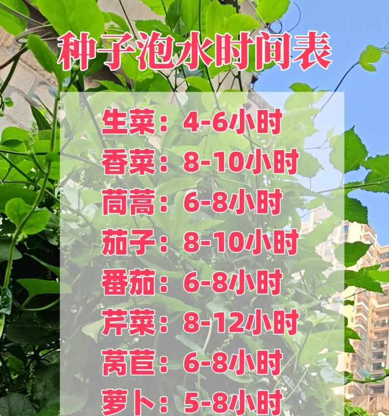 中科种子播种的最佳时间是什么时候？