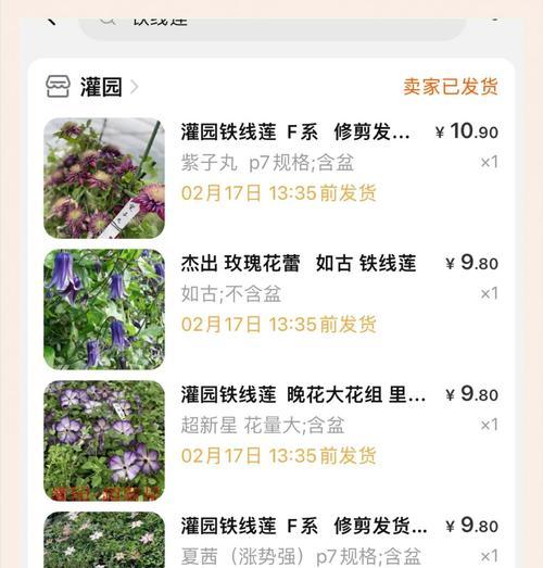 扦插铁线莲苗怎么养护好？有哪些养护技巧可以分享？