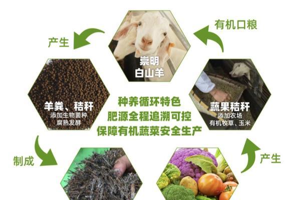 自制牧草肥料配方表怎么做？有哪些注意事项？