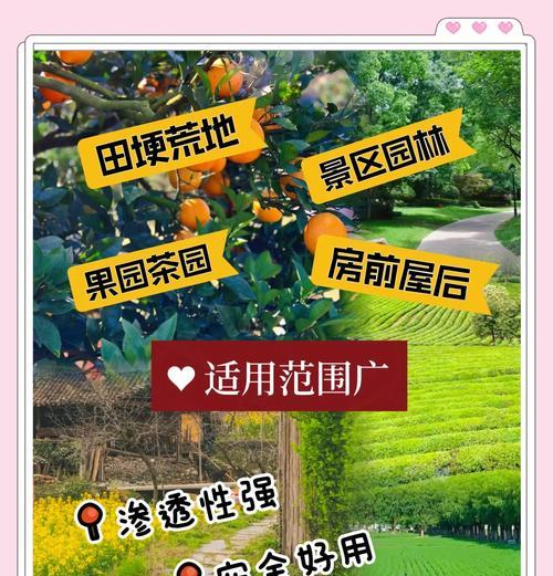 杂草栽培技术包括哪些要点？如何有效管理杂草栽培？