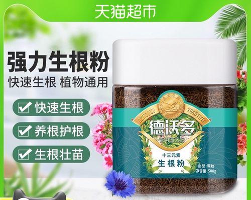月季老根护根的养护方法是什么？