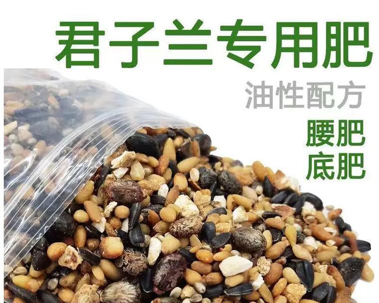 君子兰底肥腰肥怎么用？施肥的最佳时机和方法是什么？